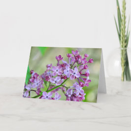 Leere Grußkarte mit Lilac-Blume Karte