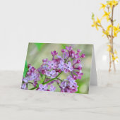 Leere Grußkarte mit Lilac-Blume Karte (Gelbe Blume)