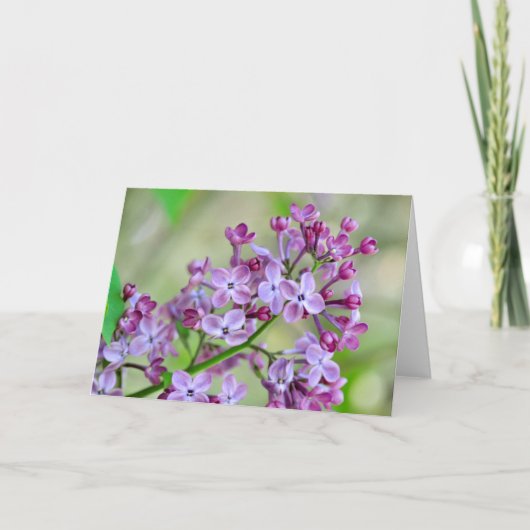 Leere Grußkarte mit Lilac-Blume Karte (Vorderseite)