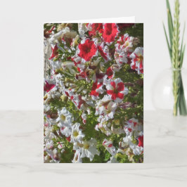 Leere Grußkarte mit roten und weißen Blumen Karte