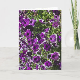 Leere Grußkarte mit violetten Blumen Karte
