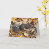 Leere innen Grußkarte Eichhörnchen Karte (Gelbe Blume)