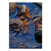 Leere Innenseite, Blätter (Vorne)