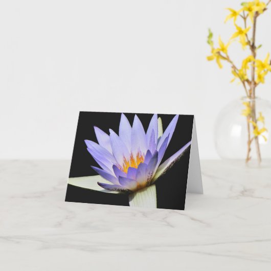 Leere Innenseite Karte #7 00700 (Gelbe Blume)