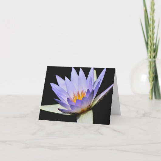 Leere Innenseite Karte #7 00700 (Vorderseite)