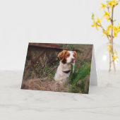 Leere Karte Bretagne (Gelbe Blume)