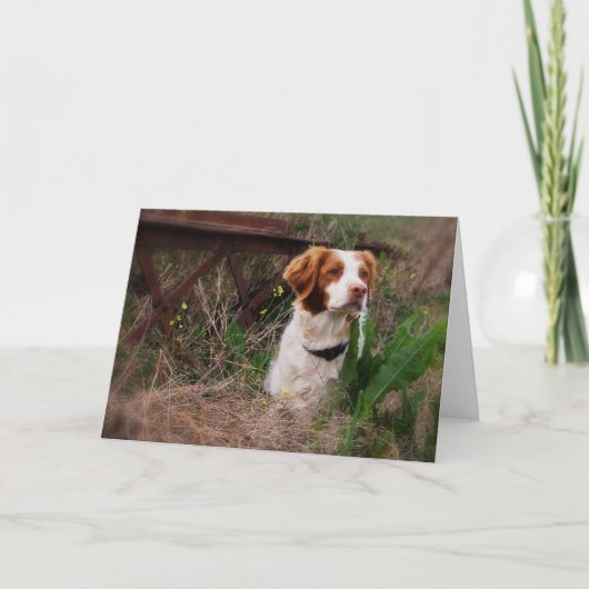 Leere Karte Bretagne (Vorderseite)