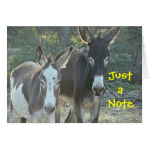 Leere Karte der Maultiere