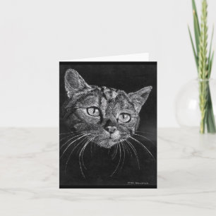 Leere Karte des Katzen-Gesichtes