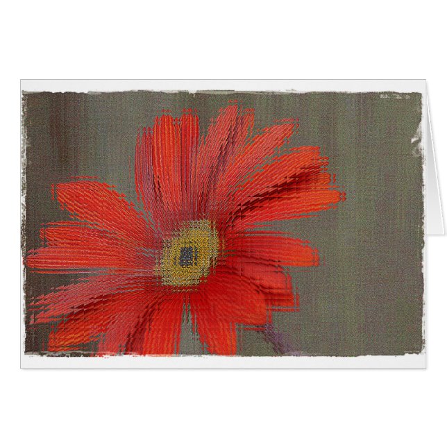 Leere Karte des orange Gerbera (Vorderseite (Horizontal))