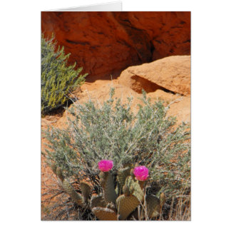 Leere Karte, DSCF0348, ~in Ihr words~