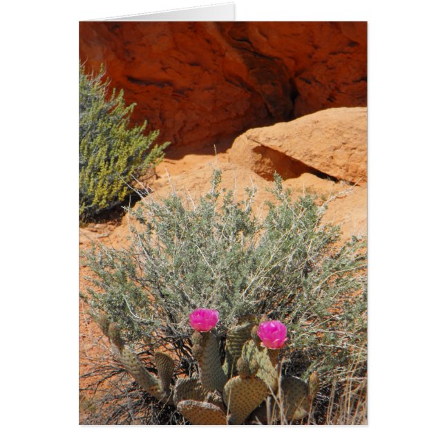 Leere Karte, DSCF0348, ~in Ihr words~ (Vorne)