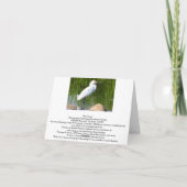 Leere Karte, Entlein Dankeskarte (Rückseite)