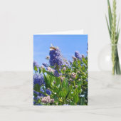 Leere Karte mit lila Blumen (Vorderseite)