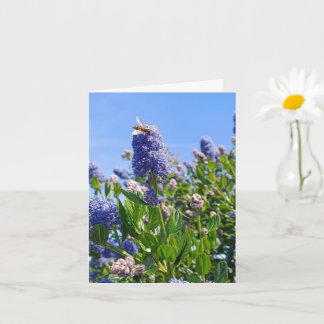 Leere Karte mit lila Blumen