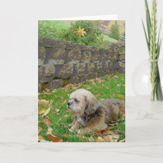 Leere Karte mit Pflege (Vorderseite)