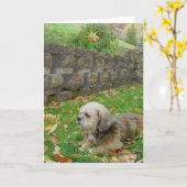 Leere Karte mit Pflege (Gelbe Blume)