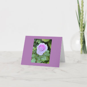 Leere Karte mit Rose