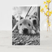 Leere Karte mit Welpen (Gelbe Blume)