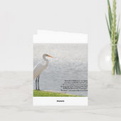 Leere Karte, Reiher Dankeskarte (Rückseite)