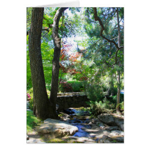 Leere Karte, Strom u. Brücke