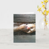 leere Katzenanmerkungskarte Karte (Gelbe Blume)