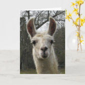Leere Lama-Gruß-Karte Karte (Gelbe Blume)