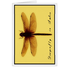 Leere Libellen-Karte