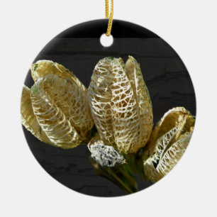 Leere Lily Seed Pods Koordinaten von Elementen Keramik Ornament