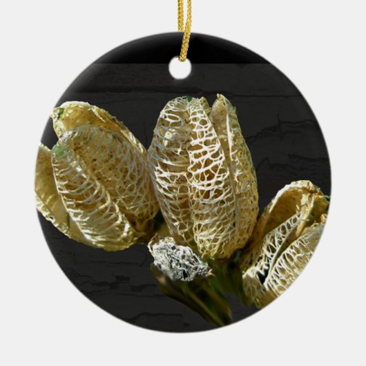 Leere Lily Seed Pods Koordinaten von Elementen Keramik Ornament (Vorne)