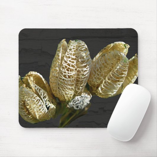 Leere Lily Seed Pods Koordinaten von Elementen Mousepad (Mit Mouse)