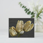 Leere Lily Seed Pods Koordinaten von Elementen Postkarte (Stehend Vorderseite)