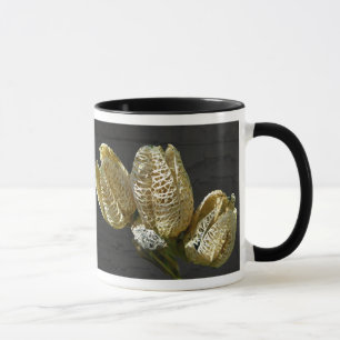 Leere Lily Seed Pods Koordinaten von Elementen Tasse