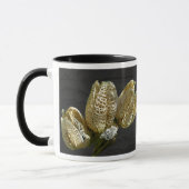 Leere Lily Seed Pods Koordinaten von Elementen Tasse (Links)