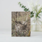 Leere Nest Postkarte (Stehend Vorderseite)