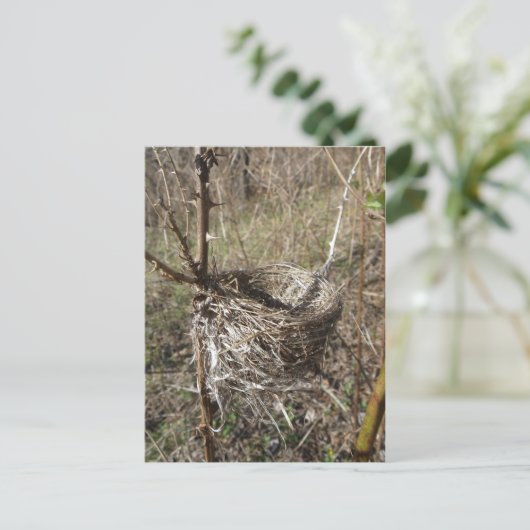 Leere Nest Postkarte (Stehend Vorderseite)