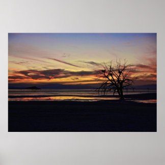 Leere Nester in einem toten Baum Poster