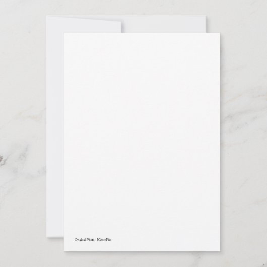 Leere Note Card - Anpassbar - Giraffe Mitteilungskarte (Rückseite)