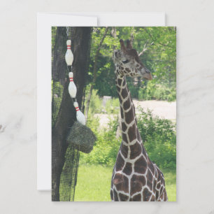 Leere Note Card - Anpassbar - Giraffe Mitteilungskarte