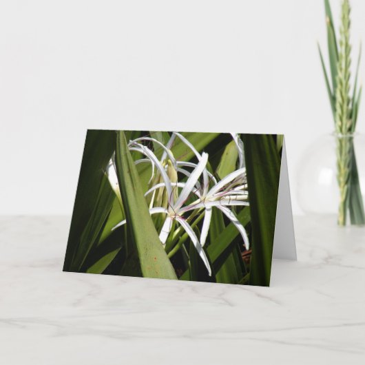 Leere Note Card mit Wild-Sumpf-Lilien Karte (Vorderseite)