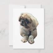 Leere Pekingese-Karte mit "Sink" Dankeskarte (Vorderseite)