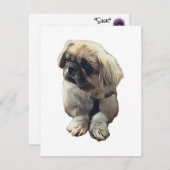 Leere Pekingese-Karte mit "Sink" Dankeskarte (Vorne/Hinten)