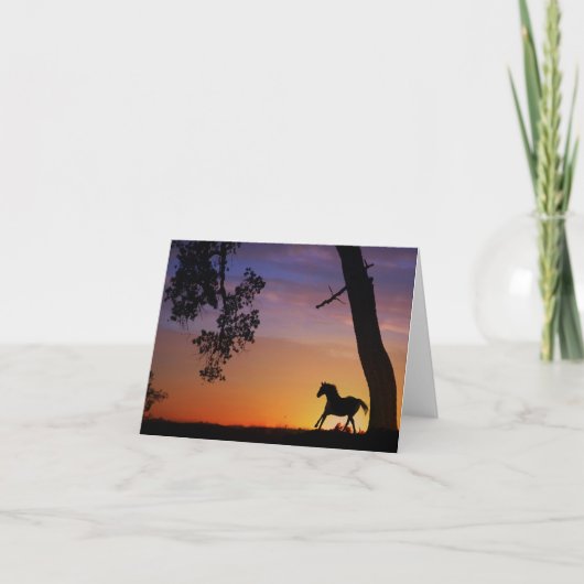 Leere Pferde-Mitteilungskarten Karte (Vorderseite)