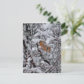 Leere Postkarte des Eichhörnchen-6206 (Stehend Vorderseite)