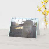 Leere Schafe Mitteilungskarten (Gelbe Blume)