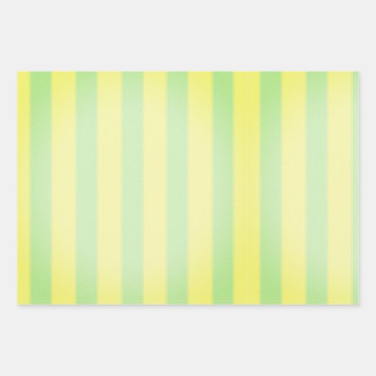 LEERE ÜBERPRÜFUNGEN UND BLUME GESCHENKPAPIER SET (Vorderseite 3)