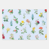 LEERE ÜBERPRÜFUNGEN UND BLUME GESCHENKPAPIER SET (Vorderseite 2)