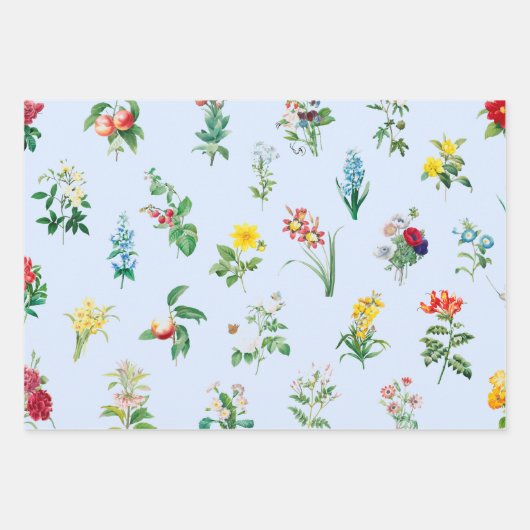 LEERE ÜBERPRÜFUNGEN UND BLUME GESCHENKPAPIER SET (Vorderseite 2)