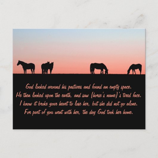 Leere Weide Postkarte (Vorderseite)