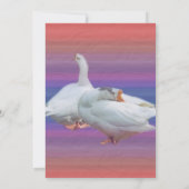 Leereinladung, alle Zwecke Einladung (Rückseite)